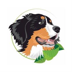 Cabinet Veterinar BetoVet Sacele, program de funcționare