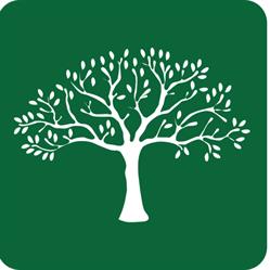 Fundatia Life Tineret Oradea, program de funcționare