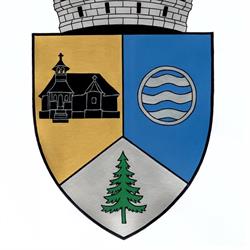 Primăria Municipiului Topliţa, program de funcționare