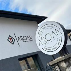 Salon ASOAN, Alba Iulia program de funcționare