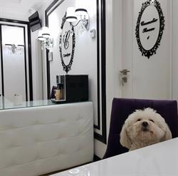 Carolyne Beauty Center, Bistriţa program de funcționare