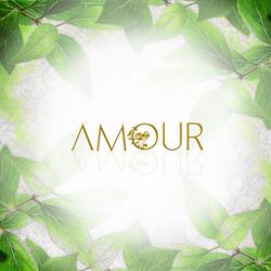 Amour Flowers, Bucureşti program de funcționare
