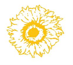 SOLENZARA GROUP, Târgovişte program de funcționare