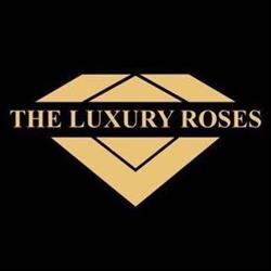 The Luxury Roses, Satu Mare program de funcționare