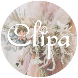 Clipa, Piatra-Neamţ program de funcționare
