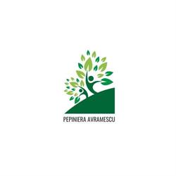 Pepiniera Avramescu, Brăniştari program de funcționare