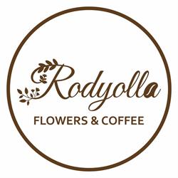 Rodyolla, Bucureşti program de funcționare