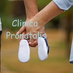 Clinica Pronatalis, Caransebeş program de funcționare