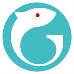 GiorgioMare, Oradea program de funcționare