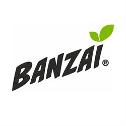 Banzai Romania, Tomeşti program de funcționare