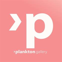 Plankton Academy, Cluj-Napoca program de funcționare