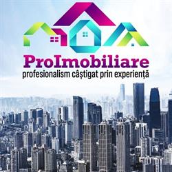 Pro Imobiliare, Roman program de funcționare