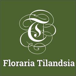 Floraria Tilandsia, Sânnicolau Mare program de funcționare
