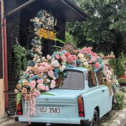 Il Davro Flowers, Chiajna program de funcționare