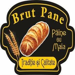 Brut Pane, Satu Mare program de funcționare