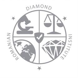Romanian Diamond Institute, Timişoara program de funcționare