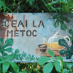 Ceai la Metoc, Bucureşti program de funcționare