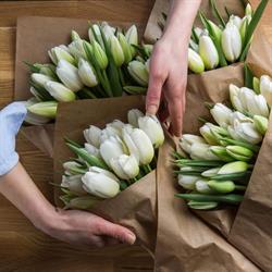 Garage Flowers, Alba Iulia program de funcționare