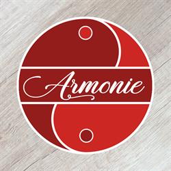 Armonie, Vaslui program de funcționare