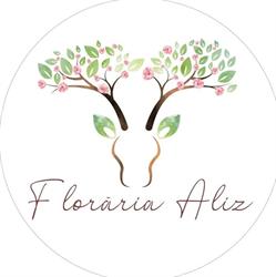 Floraria Aliz, Cluj-Napoca program de funcționare