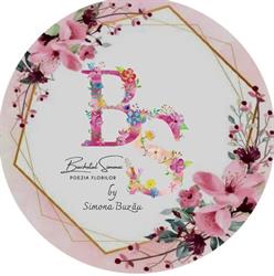 Buchetul Simonei Poezia florilor, Tămăşeni program de funcționare