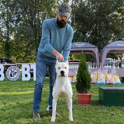 Barbosul Ger - Dogo Argentino Kennel, Cluj-Napoca program de funcționare