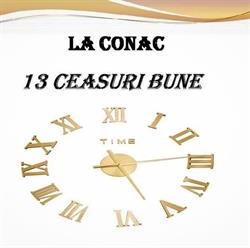 La Conac 13 Ceasuri Bune, Bran program de funcționare