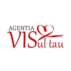 Agentia VISUL TAU, Bucureşti program de funcționare