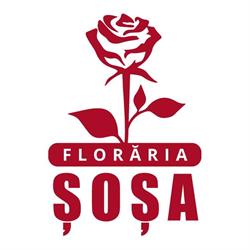 Floraria Sosa, Aiud program de funcționare