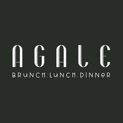 Agale, Voluntari program de funcționare
