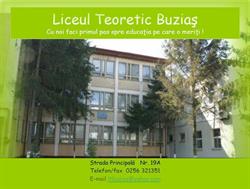 Liceul Teoretic Buzias, program de funcționare