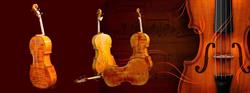 Special Violins, Reghin program de funcționare