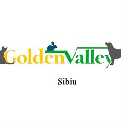 Cabinet veterinar Golden Valley Sibiu, program de funcționare