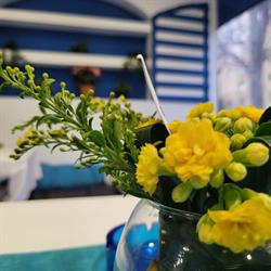 Mediterannia By Hades, Bucureşti program de funcționare