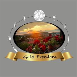 Gold Freedom, Dej program de funcționare