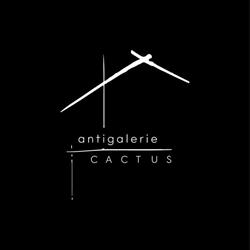 Antigalerie Cactus, Târgu Mureş program de funcționare