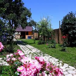 Casa Pavel Jurilovca, program de funcționare