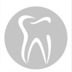 Toncian Dent, Reghin program de funcționare