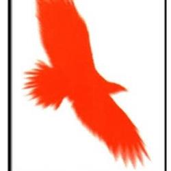 Eagle House, Siret program de funcționare