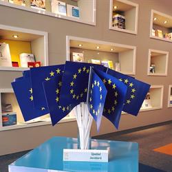 Spaţiul Public European, Bucureşti program de funcționare