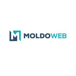 MoldoWEB - Software Development Company, Cluj-Napoca program de funcționare