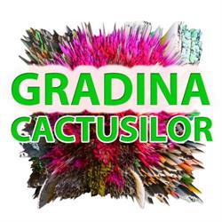Gradina Cactusilor, Arad program de funcționare