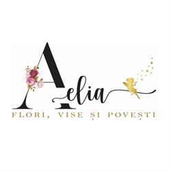 Aelia- flori, vise şi poveşti, Pucioasa program de funcționare