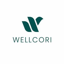 Wellcori Terapie Hiperbara Deva, program de funcționare