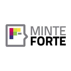Organizaţia Minte Forte, Cluj-Napoca program de funcționare