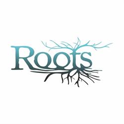 Roots Bistro&Caffe, Bistriţa program de funcționare