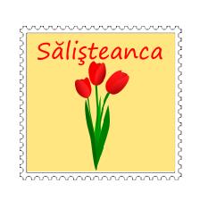 Camping Sălişteanca, program de funcționare