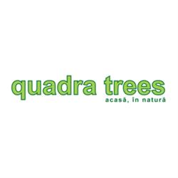 Quadra Trees, Bucureşti program de funcționare