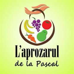 L'aprozarul de la Pascal (Zona Pascal), Roman program de funcționare