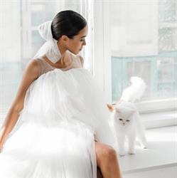 Delis Fashion Atelier, Codlea program de funcționare